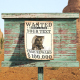 Most Wanted - VideoHive Item for Sale