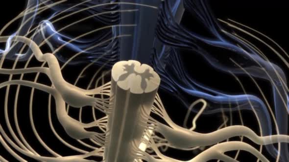 3D Animation of neural network and neurons firing