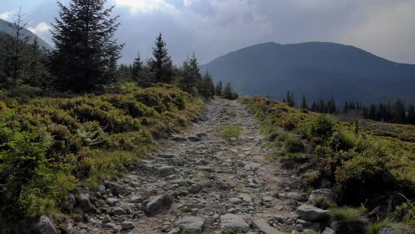 View of Carpathian Mountains on a Sunny Day