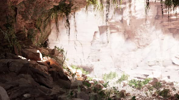 Inside a Limestone Cave with Plants and Sun Shine