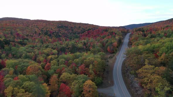 Autumn Stock Footage - Best Autumn Videos Footage 43