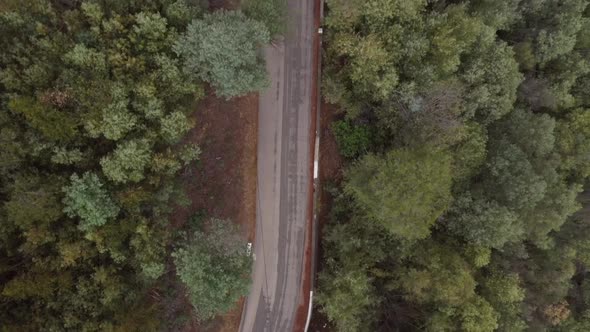 Aerial top view along country forest road