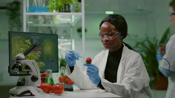 Chemist Scientist Injecting Strawberry with Organic Liquid Examining Dna Test