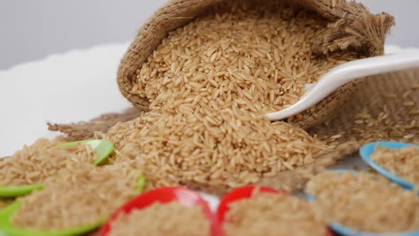 Rotating view of sesame seeds filled within bag