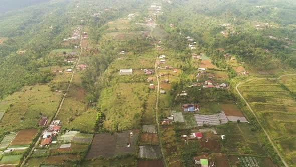 Agricultural Land in Indonesia