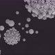 Concept 13-V1 3D Animation of Coronavirus (COVID-19) known as (SARS-CoV-2) - VideoHive Item for Sale