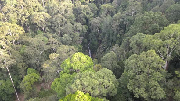 Aerial view of Forest Reserve in Jelebu Negeri Sembilan