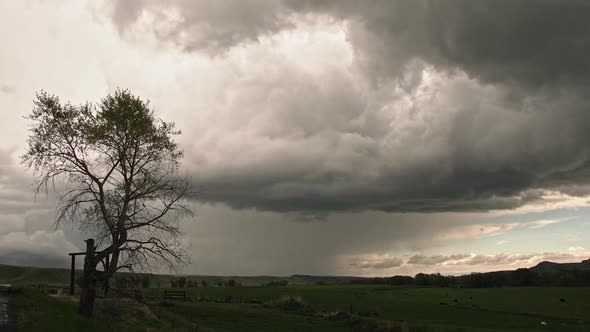 Time lapse of dramatic clouds swirling in the sky past single tree