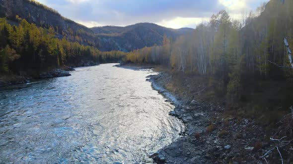 River Autumn Forest Flight From a Copter Beautiful Nature Russia