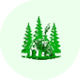 Preview icon