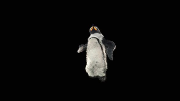 Penguin Dancing HD