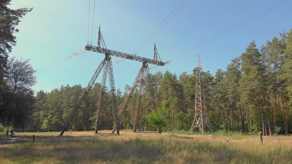 Forest High Voltage Lines