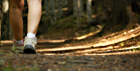 Girl Footsteps In Forest