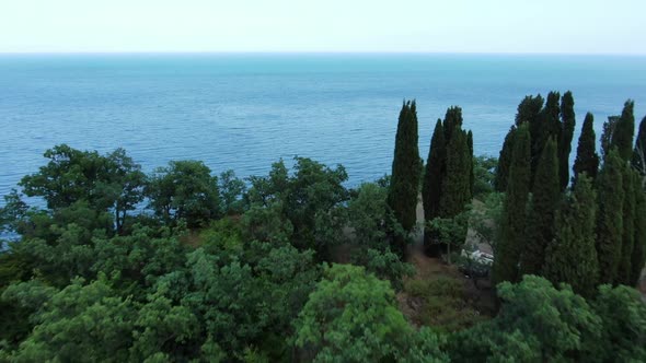 The Diverse Flora of the Crimea Against the Background of the Calm Blue Waters of the Black Sea