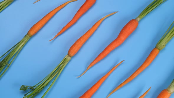 Rotating Young Carrot on Blue Background Healthy Food Concept Loop Trendy Vegetable Background