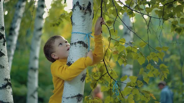 Child Climbs Up the Tree Close Up 2