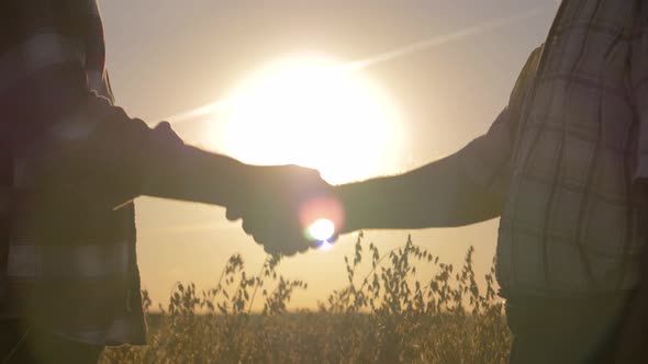 Handshake Of Two Businessmen Farmers In The Field Background Sunset