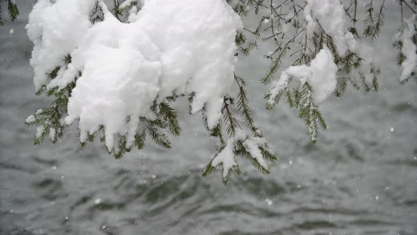 River Coast Covered with Snow