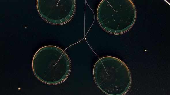 Salmon pens on aquafarm in the arctic circle, overhead drone view