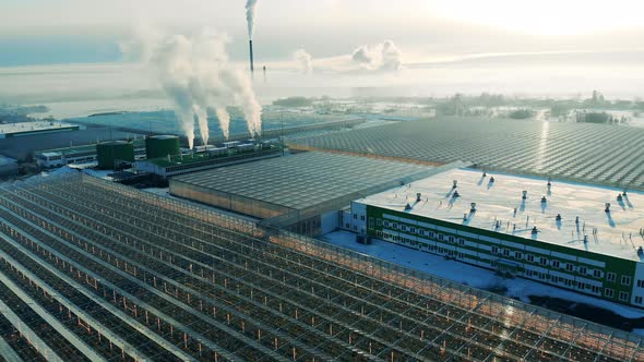 Outdoors View of Glasshouse Facilities with Billowing Chimneys. Power Factory From Above, Steam From