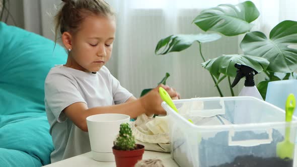 Little Child Girl Transplants a Cactus Into New Pot at Home