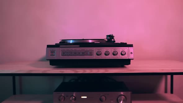 Vinyl Player Plays Records Until Cat Come Around