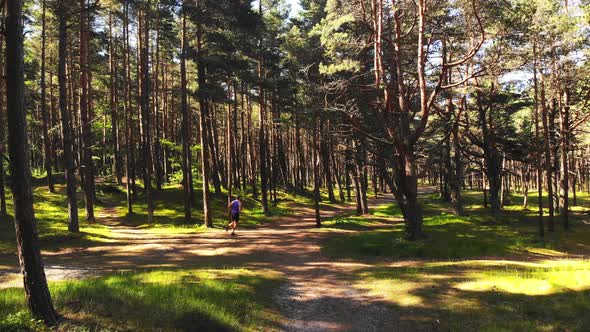 Caucasian Male Person Runs In Pine Woods Alone