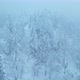 Flying Over Winter Forest - VideoHive Item for Sale