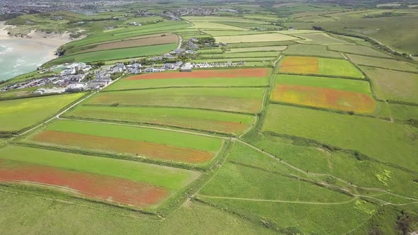 Picturesque Landscape Of Poppy Fields In West Pentire Hamlet In Cornwall, England, United Kingdom. -