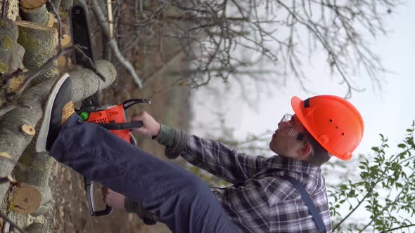 Male Worker Sawing a Tree