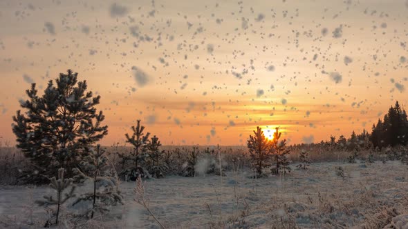 Amazing Winter Landscape with Romantic Foggy Sunset