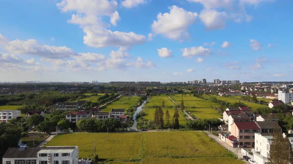 Shanghai Pastoral Scenery, The Blue Sky and White Clouds