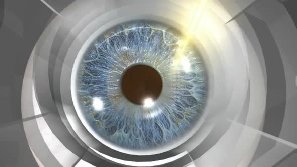 Anatomy of the eye. laser eye surgery