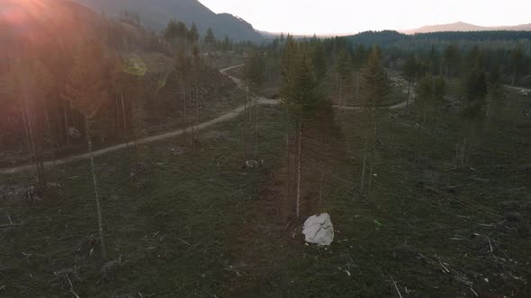 Drone View Of Deforestation Destruction On Forest Trees