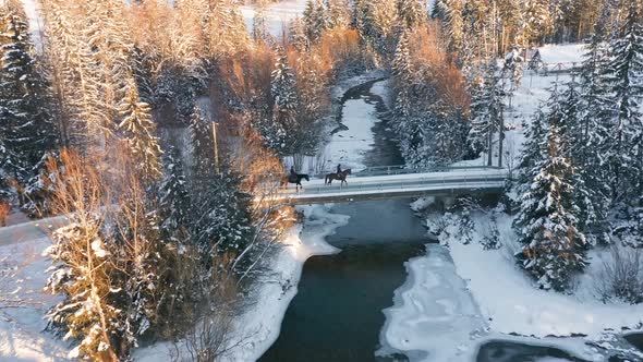 People riding horses on bridge over frozen river in winter Polish landscape. Aerial