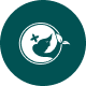 Preview icon