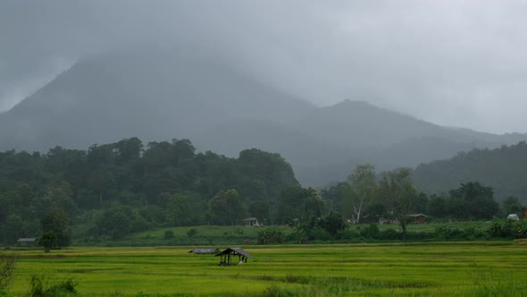 Wooden cabin in paddy field with green mountains in asia countryside