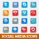 Social Network Icon Set - GraphicRiver Item for Sale