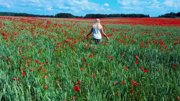 Young Blonde Woman  is Walking Through a Poppies Field Feeling Happy