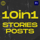 10 in1 Instagram Stories & Posts Mogrt - VideoHive Item for Sale