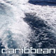 Trace of  Speedboat on Caribbean - VideoHive Item for Sale