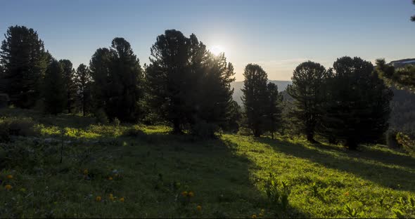 Mountain Meadow Timelapse