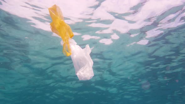 Plastic Bag in the Sea.