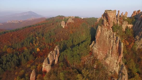 Autumn Forest In Bulgaria