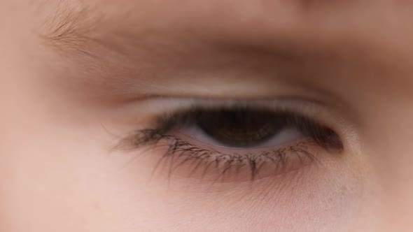 Eye of Child Looking the Camera. Extreme Close-Up. Stare at Something. Children's Emotions. Children