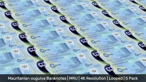 Mauritania Banknotes Money / Mauritanian ouguiya / Currency UM / MRU / 5 Pack - 4K