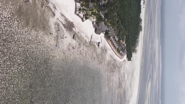 Vertical Video of Low Tide in the Ocean Near the Coast of Zanzibar Tanzania Aerial View