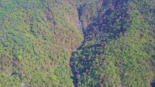 Flycam Approaches Slowly Jungle with Gorge in Highland