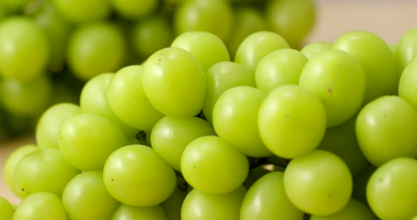 Fresh green ripe grapes 