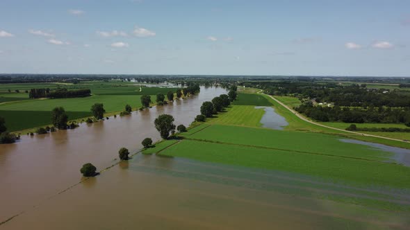 Floodplains and drowned trees at river Maas in the Netherlands, Aerial